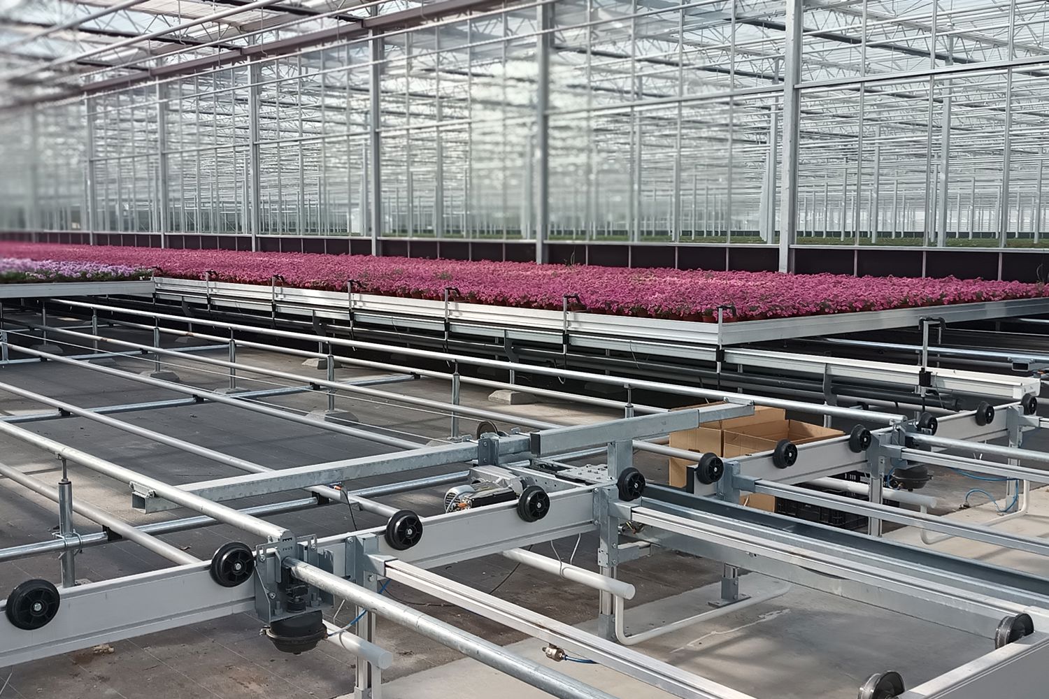 mobile gutter system with plants in bloom in a greenhouse